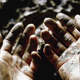 What to Make of These Mortal Hands
