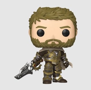 Anduin 1099 World Of Warcraft The War Within Funko Pop Vinyl