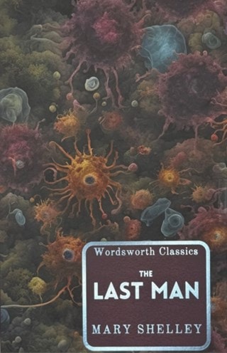 The Last Man Paperback By Mary Shelley