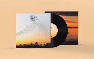 Erland Cooper: Dawn Chorus