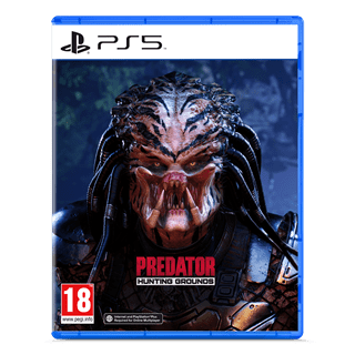 Predator Hunting Grounds (PS5)