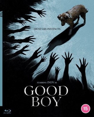 Good Boy