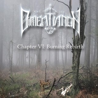 Chapter VI: Burning rebirth