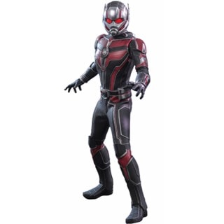 1:6 Ant-Man - Ant-Man And The Wasp: Quantumania Hot Toys Figurine