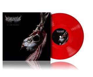 Echoes of a Forlorn Land - Transparent Red Vinyl