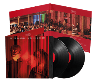 In the Big Room - 2LP