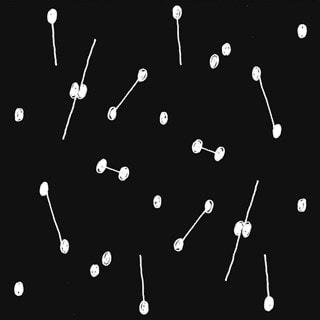 Dance of a Trillion Stars