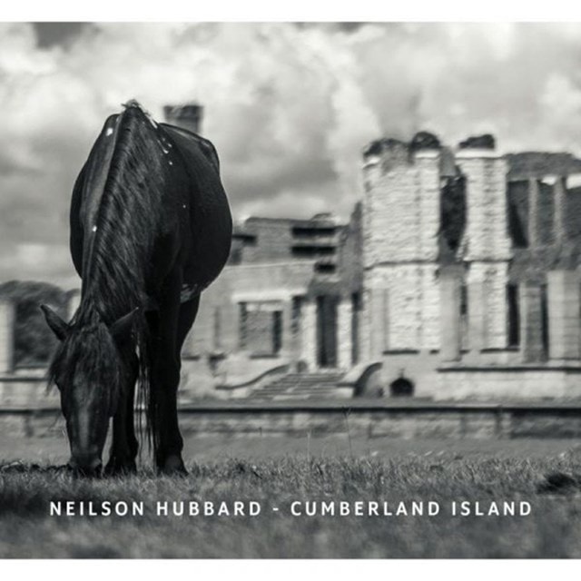 Cumberland Island - 1