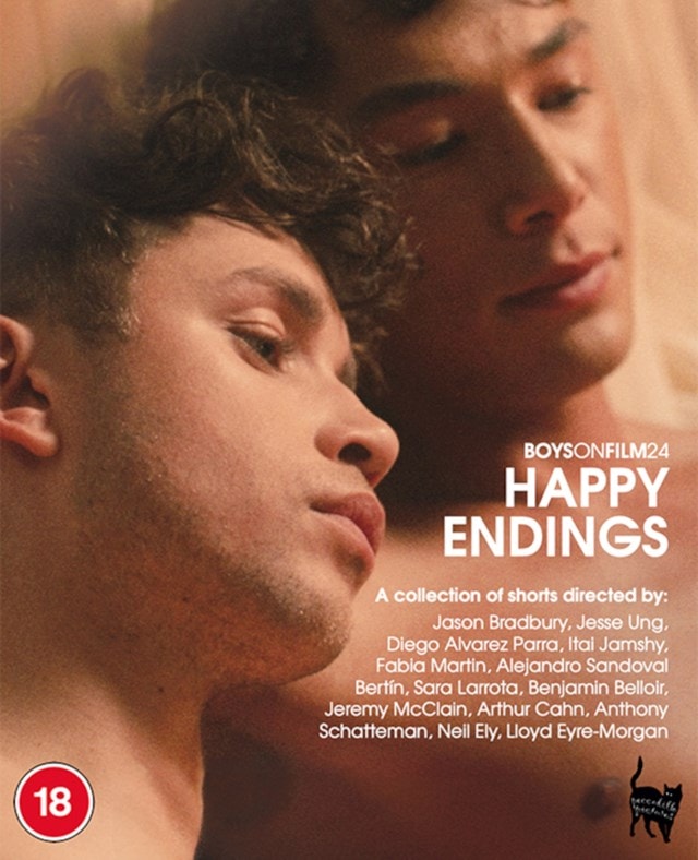 Boys On Film 24 - Happy Endings - 3