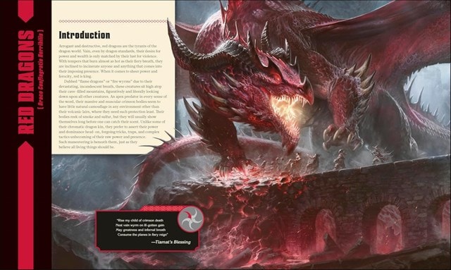Dungeons & Dragons The Book Of Dragons D&D Hardback - 6