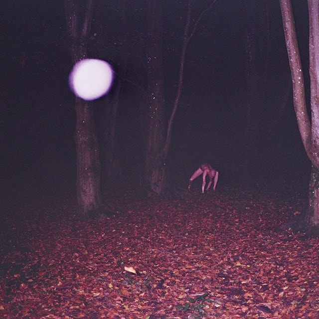 Skinwalker - 1