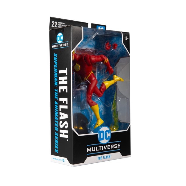 Animated Flash DC Multiverse Action Figure - 9