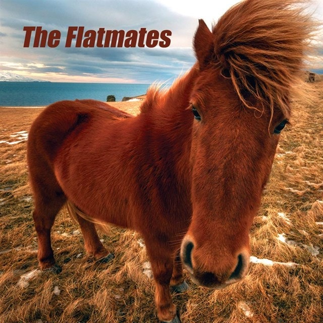 The Flatmates - 1