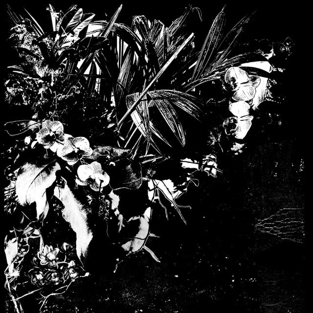Orchid Alto - 1