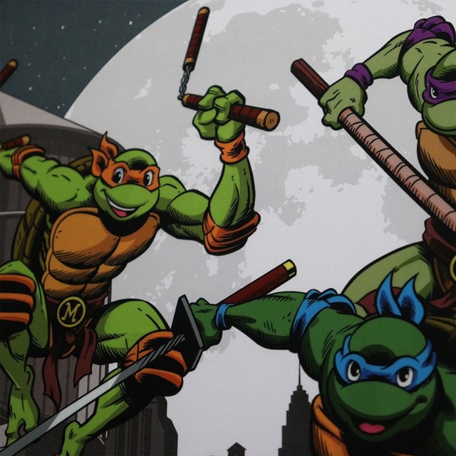 Teenage Mutant Ninja Turtles Fan-Cel Art Print - 5