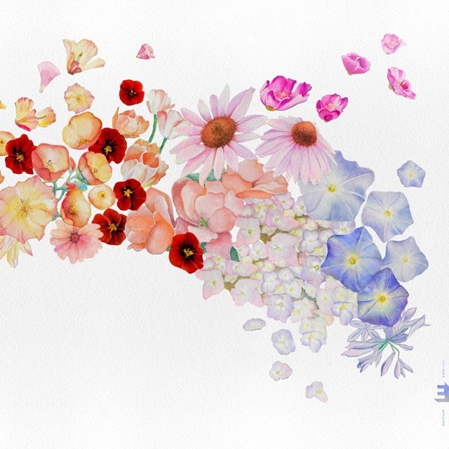 Flor - 1