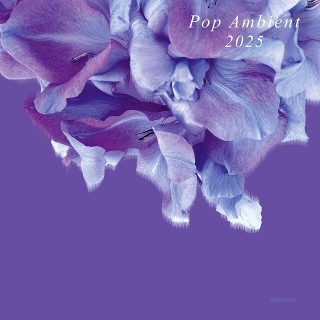 Pop Ambient 2025 - 1