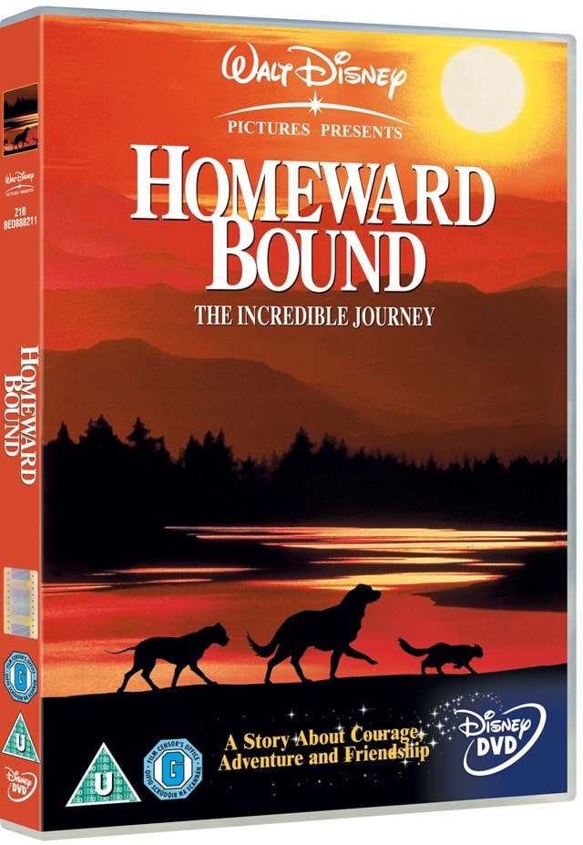homeward bound movie free download