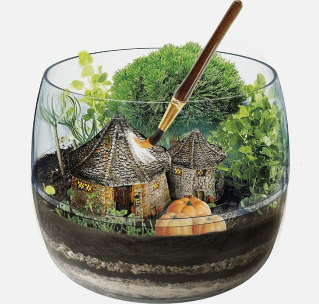 Hagrid's Hut Harry Potter Terrarium Kit - 2