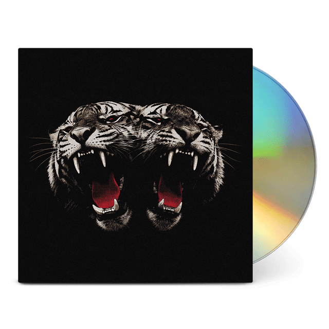 Dead Company - 2