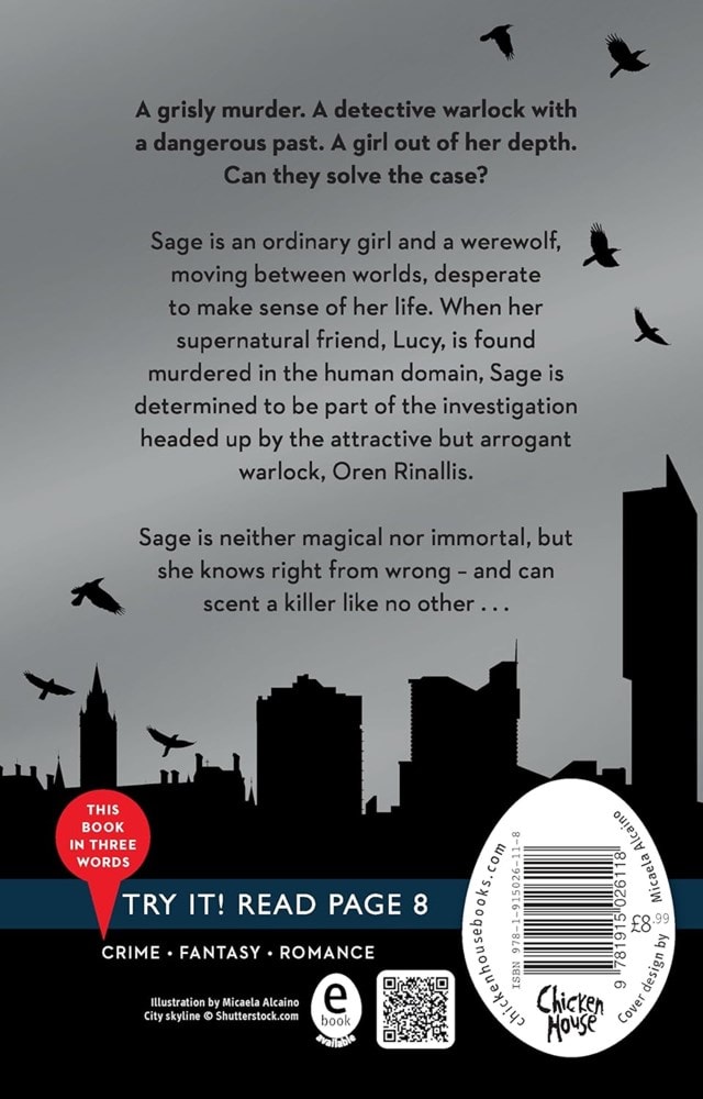 All The Hidden Monsters Paperback By Amie Jordan - 2