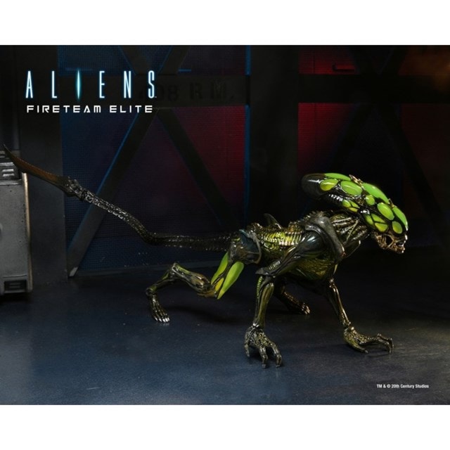 Burster Alien Aliens Fireteam Elite Neca 7" Figure - 3
