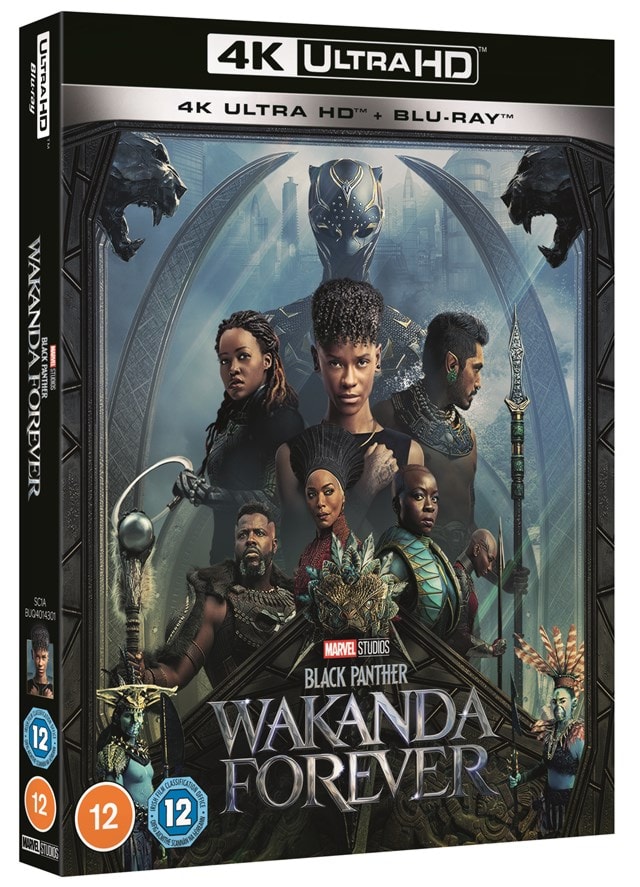Black Panther: Wakanda Forever - 2