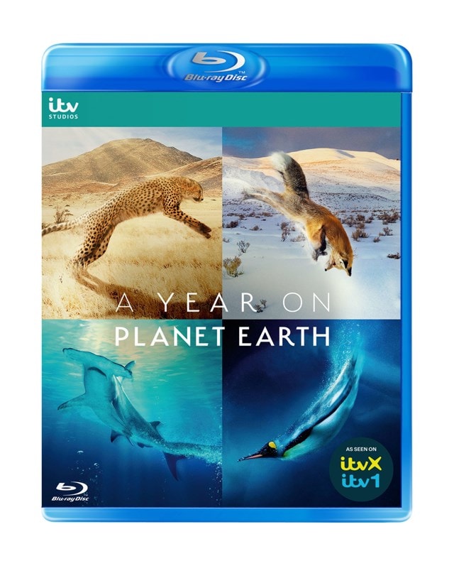 A Year On Planet Earth - 1