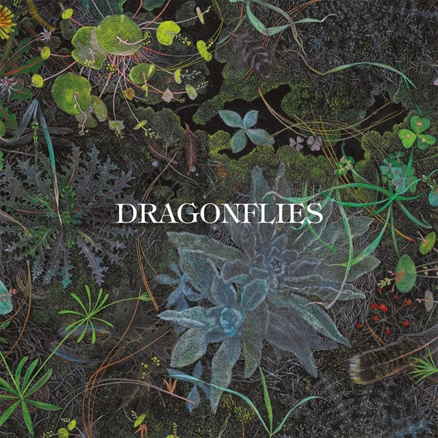 Dragonflies - Limited Edition Coke Bottle Clear Vinyl - 2