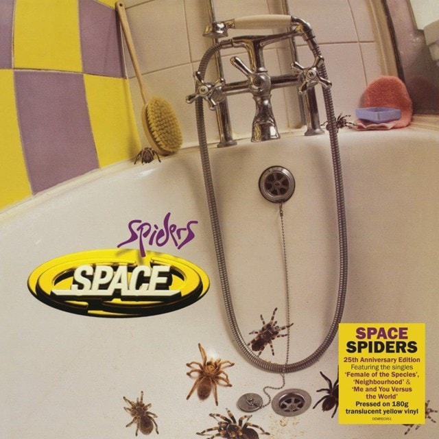 Spiders - 1