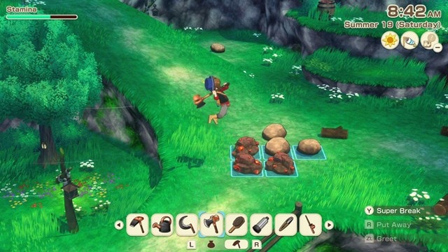 Story of Seasons: Grand Bazaar (NS2) - 11