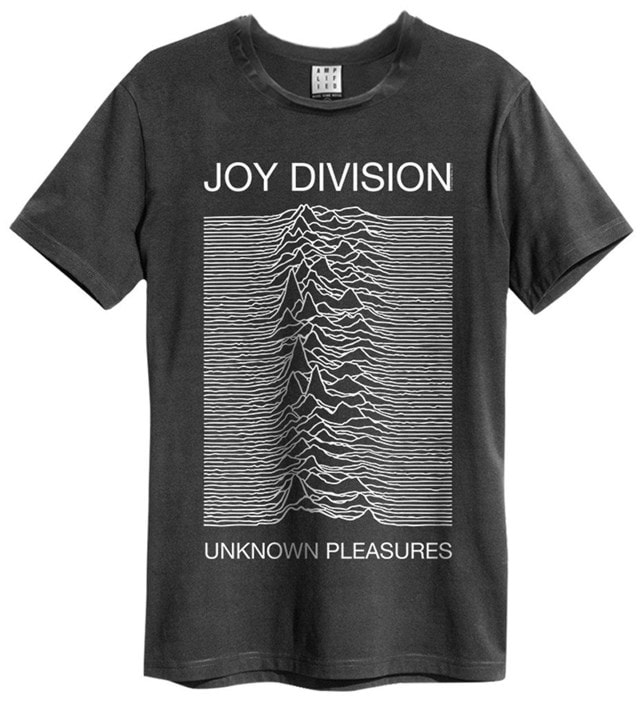 Unknown Pleasures Joy Division (Small) - 1