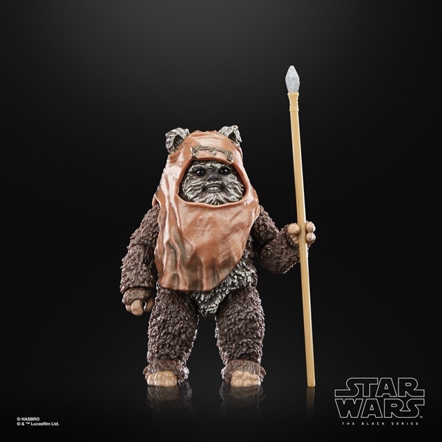 Wicket Hasbro Star Wars The Black Series Return of the Jedi 40th Anniversary Action Figure - 4