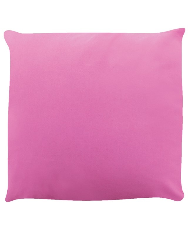 Sounds Gay I'm In Pink Cushion - 2