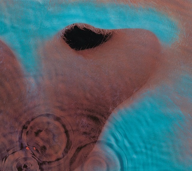Meddle - 1