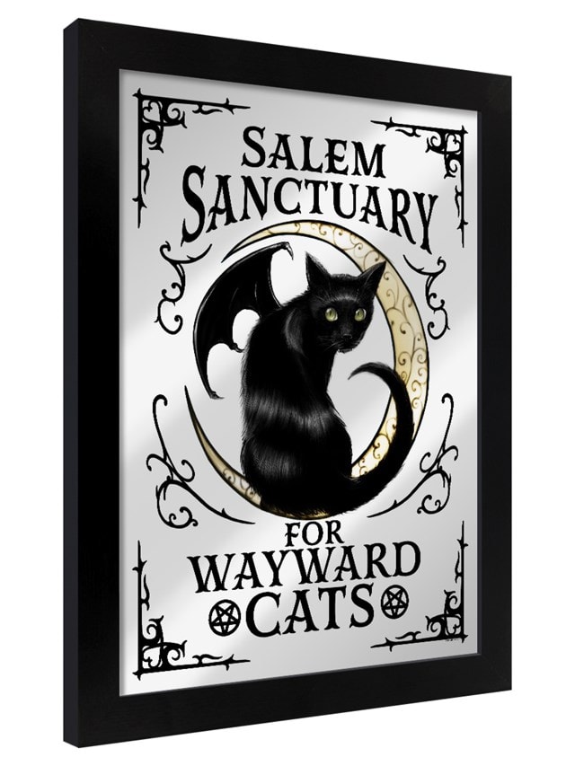 Salem Sanctuary For Wayward Cats Mirrored Tin Sign - 1