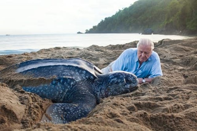 The Life Trilogy Boxset By David Attenborough - 8