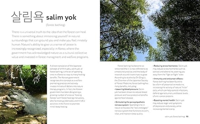 Book Of Korean Self-Care Hardback - 4