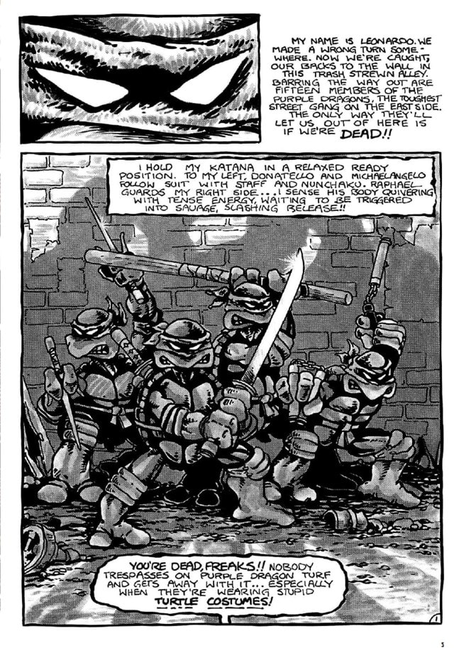 Teenage Mutant Ninja Turtles: The Mirage Years 1984-1987 IDW Classic Collections Graphic Novel - 2