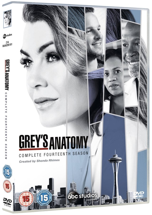 Grey's Anatomy: Complete Fourteenth Season - 2