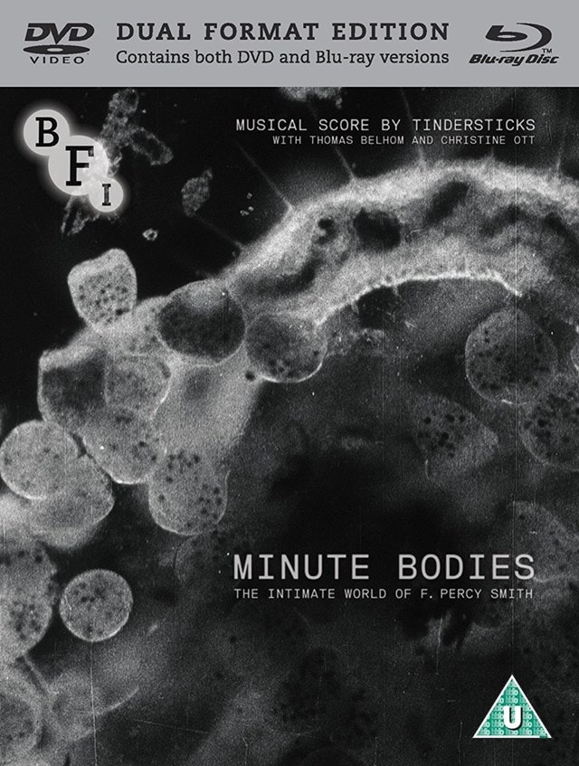 Minute Bodies - 1