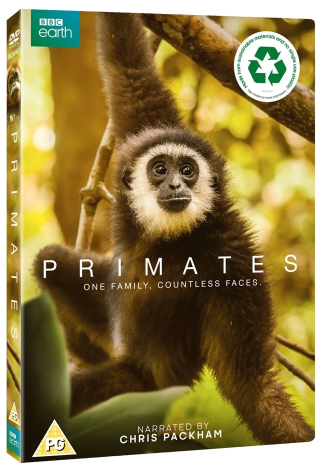 Primates - 2