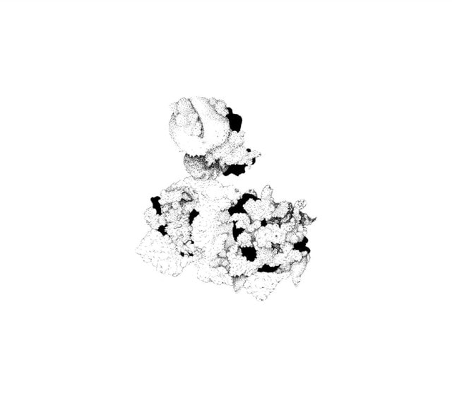 Capacious Aeration - 1