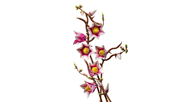 Magnolia Branches LEGO Botanicals - 3