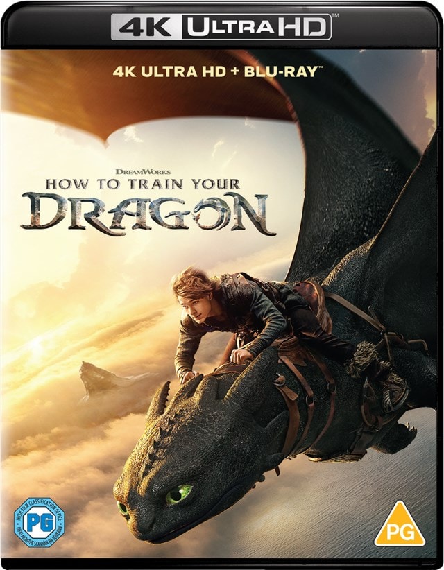 How to Train Your Dragon HMV Store