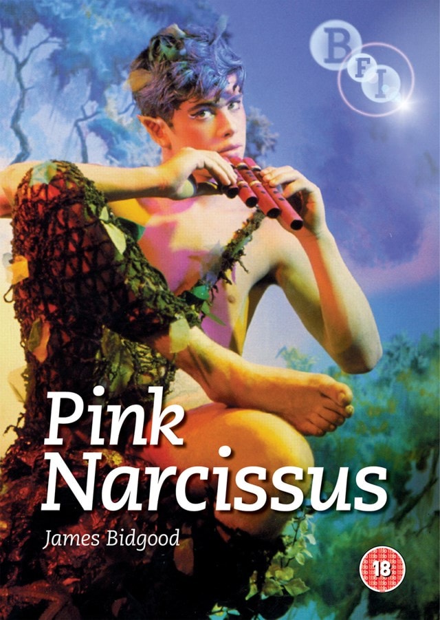 Pink Narcissus - 1