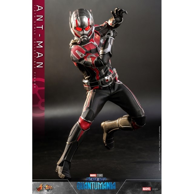 1:6 Ant-Man - Ant-Man And The Wasp: Quantumania Hot Toys Figurine - 5