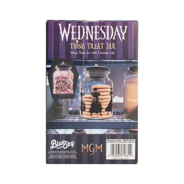 Wednesday Treat Jar - 3