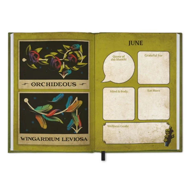 Harry Potter 2026 A5 Diary - 2