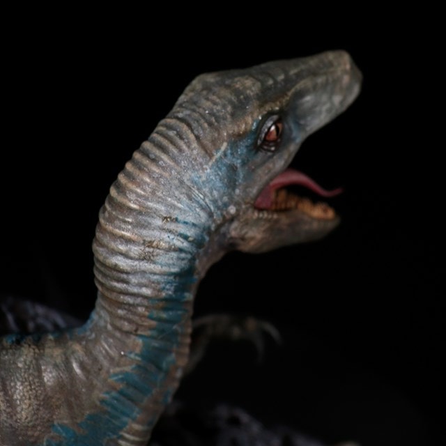 Blue Jurassic World Limited Edition Bust - 9